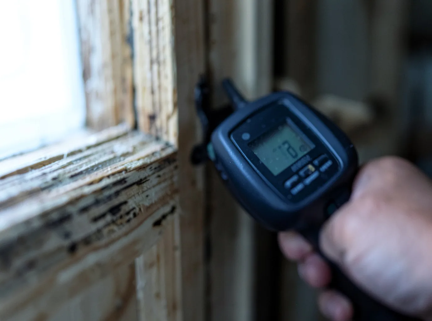 Moisture Inspection And Documentation in Ellwood City, PA